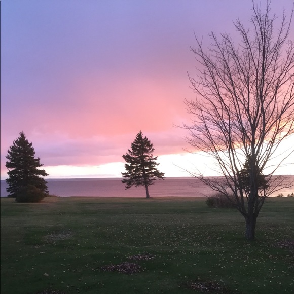 Meet your Posher, Donna - Picture 1 of 1